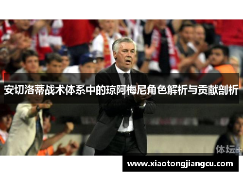 安切洛蒂战术体系中的琼阿梅尼角色解析与贡献剖析