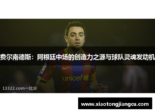 费尔南德斯：阿根廷中场的创造力之源与球队灵魂发动机