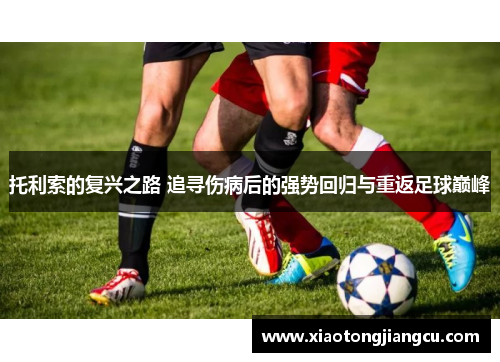 托利索的复兴之路 追寻伤病后的强势回归与重返足球巅峰